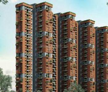 Project-Photo-8-In-That-Quiet-Earth-Bangalore-5118215_559_1000_310_462