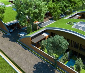 Total_After_The_Rain_elevation_1