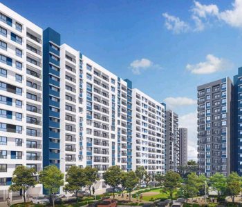 WhatsApp Image 2022-12-01 at 3.31.41 PM