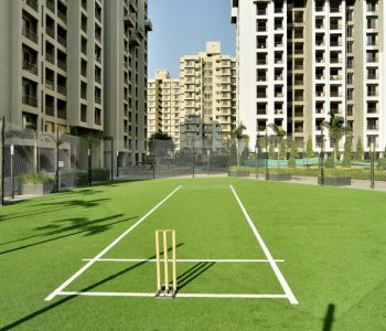 cricket_ground